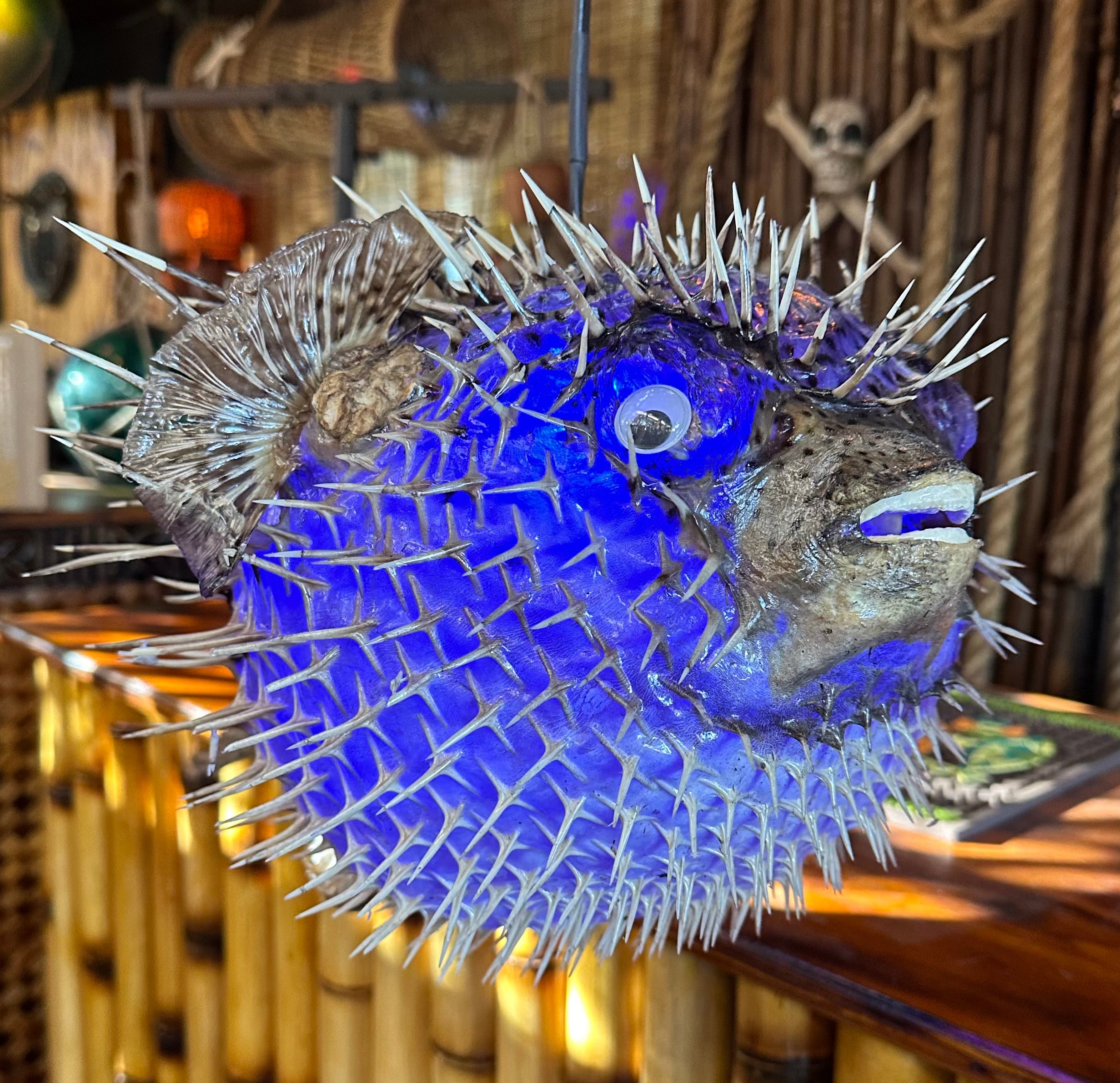 Pufferfish Swag Lamp - Large